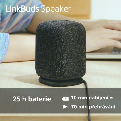 SONY LinkBuds Speaker Šedá - Bluetooth reproduktor (SRS-LS1H)