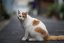SIGMA 85mm F1.4 DG DN Art pro Sony E