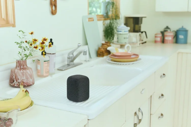 SONY LinkBuds Speaker Černá - Bluetooth reproduktor (SRS-LS1B)