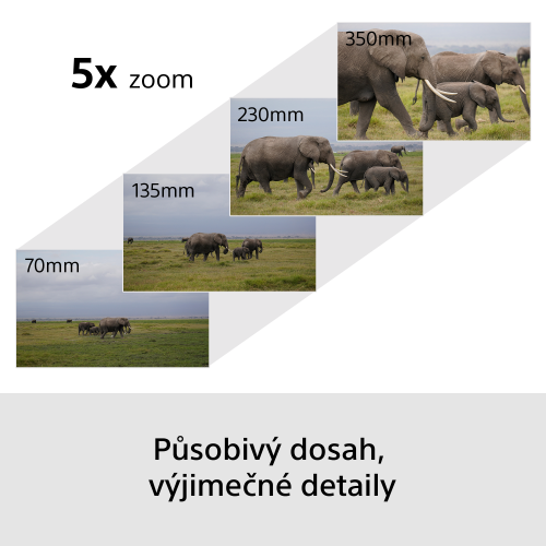 SONY Alpha A6700 + SEL-P1650 II+ SEL-70350 (Wildlife kit)