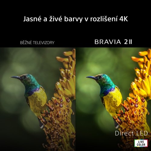 SONY BRAVIA 2 II - 75" 4K HDR Direct LED 60Hz, Google TV (K75S25M2)
