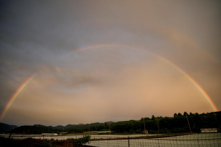 SIGMA 20-200mm F3.5-6.3 DG Contemporary pro Sony E