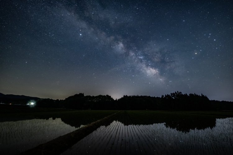 SIGMA 14mm F1.4 DG DN Art pro Sony E