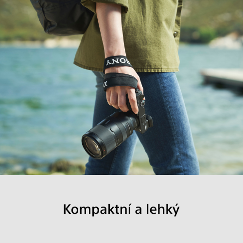 SONY Alpha A6700 + SEL-P1650 II+ SEL-70350 (Wildlife kit)