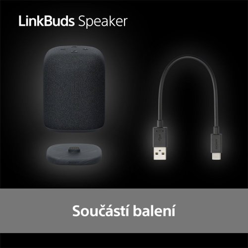 SONY LinkBuds Speaker Černá - Bluetooth reproduktor (SRS-LS1B)
