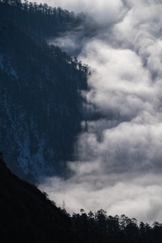 Sigma 200mm F2 DG OS Sports pro Sony E