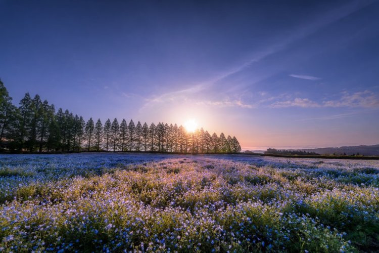 SIGMA 14mm F1.4 DG DN Art pro Sony E
