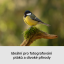 SONY Alpha A6700 + SEL-P1650 II+ SEL-70350 (Wildlife kit)