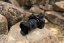 Tamron 17-50mm F/4 Di III VXD pro Sony FE