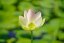 SIGMA 85mm F1.4 DG DN Art pro Sony E