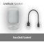 SONY LinkBuds Speaker Šedá - Bluetooth reproduktor (SRS-LS1H)