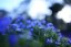 SIGMA 35mm F1.4 DG DN Art pro Sony E
