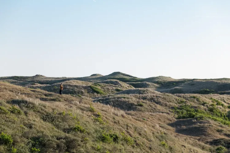 SIGMA 135mm F1.4 DG Art pro Sony E