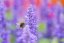 SIGMA 105mm F2.8 DG DN MACRO Art pro Sony E