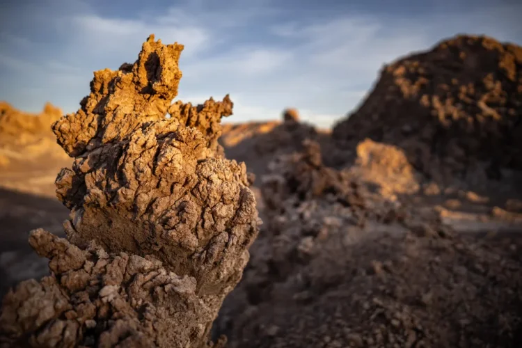 SIGMA 15mm F1.4 DC Contemporary pro Canon RF