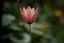 SIGMA 24-70mm F2.8 DG DN II Art pro Sony E