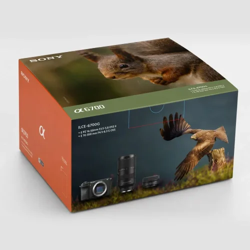 SONY Alpha A6700 + SEL-P1650 II+ SEL-70350 (Wildlife kit)