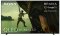 SONY BRAVIA 7 | 65" 4K HDR QLED Mini-LED, IMAX Enhanced, Android TV (K65XR70)