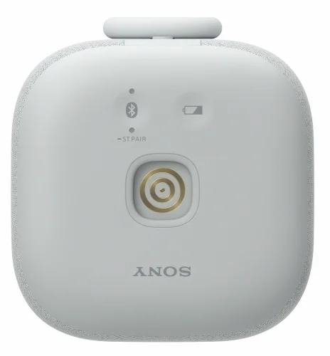 SONY LinkBuds Speaker Šedá - Bluetooth reproduktor (SRS-LS1H)