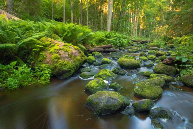 SIGMA 20-200mm F3.5-6.3 DG Contemporary pro Sony E