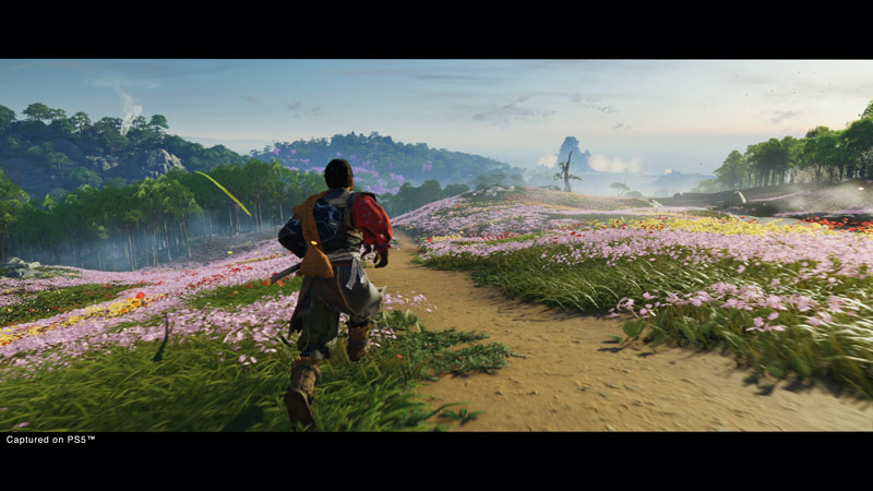 Ghost of Tsushima Director's Cut (PS5)