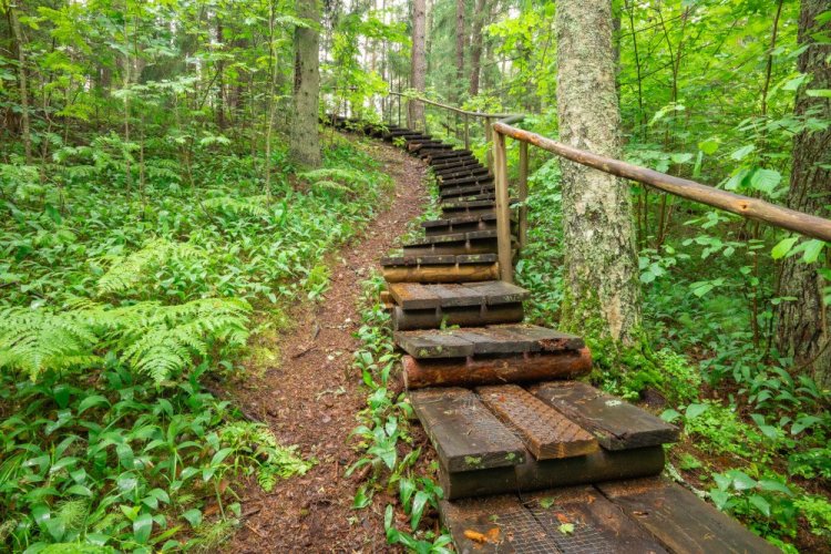 SIGMA 20-200mm F3.5-6.3 DG Contemporary pro Sony E