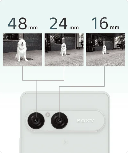 Xperia 10 VIII 5G Frosted Gray (128GB) - modelová řada 2026