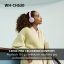 SONY WH-CH530 Černá (Bluetooth sluchátka)