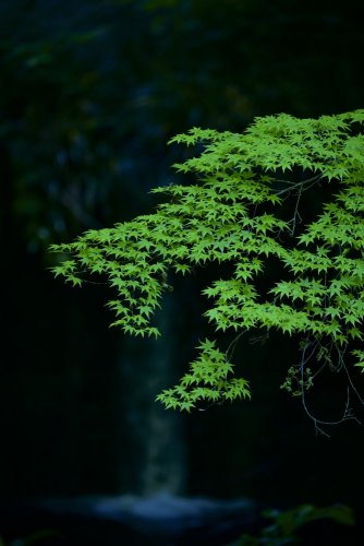 SIGMA 100-400mm F5-6.3 DG DN OS Contemporary pro Sony E