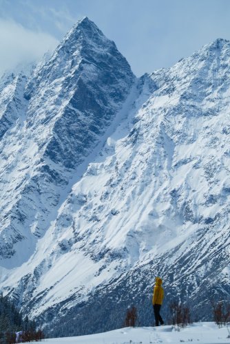 Sigma 200mm F2 DG OS Sports pro Sony E