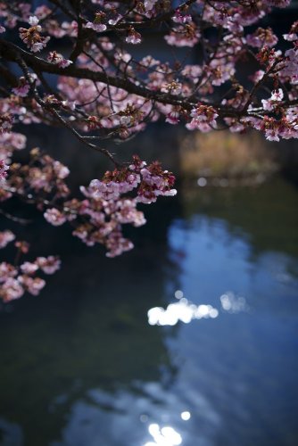 SIGMA 50mm F1.4 DG DN Art pro Sony E